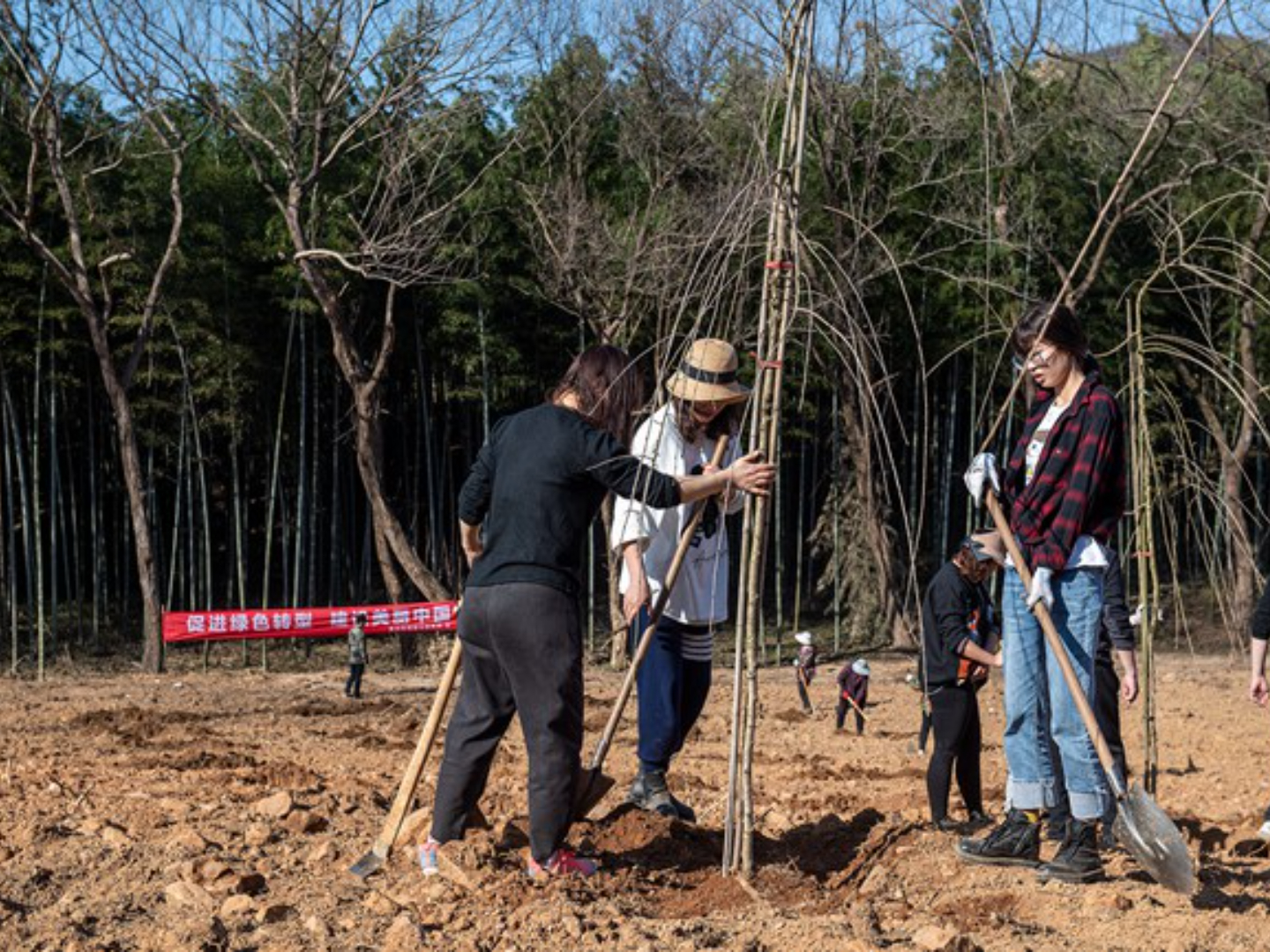 北京春季造林绿化建设项目
