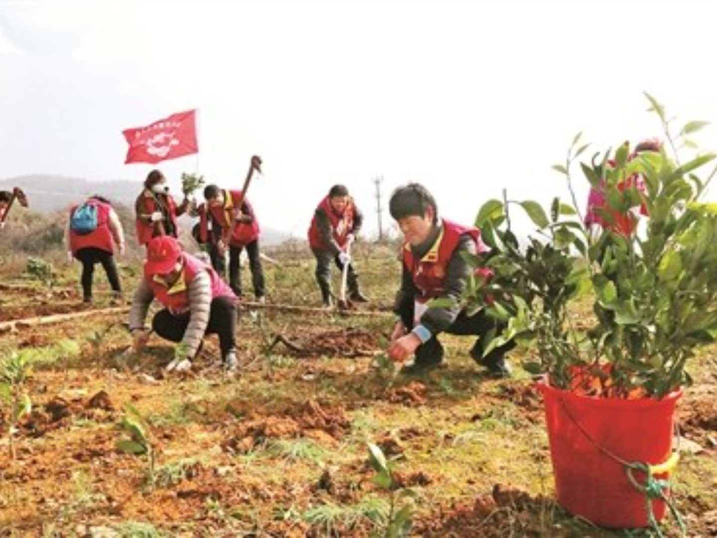 湖北宜昌长阳县龙舟坪植树项目