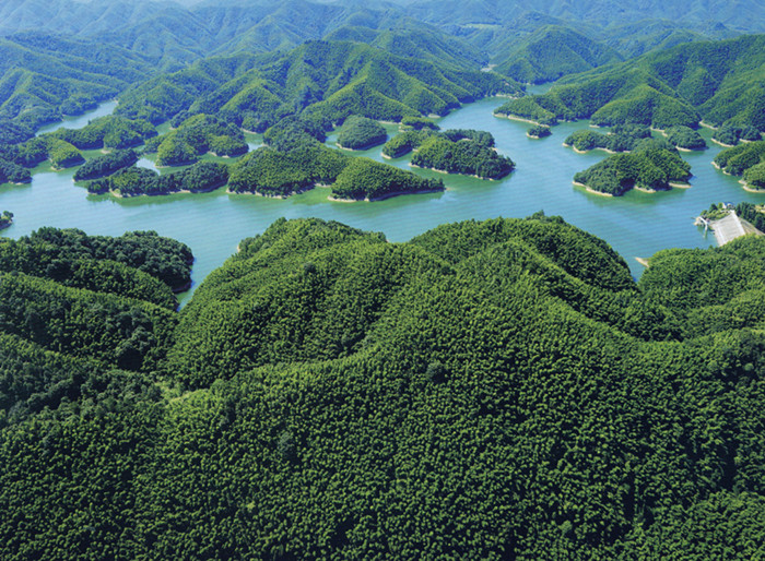 广东省郁南县碳汇造林项目